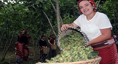 FINDIK