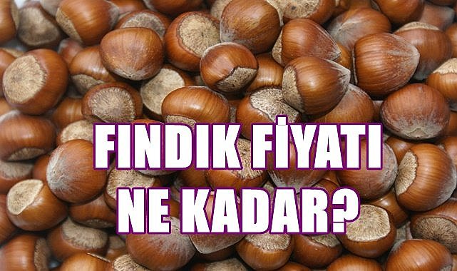Fındık fiyatı 28.10.2022