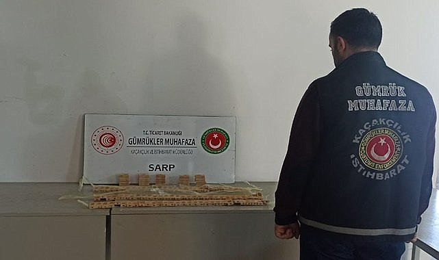 Kaçak arılar Sarp Sınır Kapısı'nda yakalandı