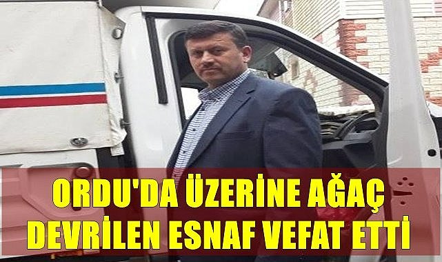 Ordu'da üzerine ağaç devrilen esnaf vefat etti