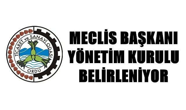 Ordu Ticaret ve Sanayi Odası'nda Meclis Başkanı kim oluyor?