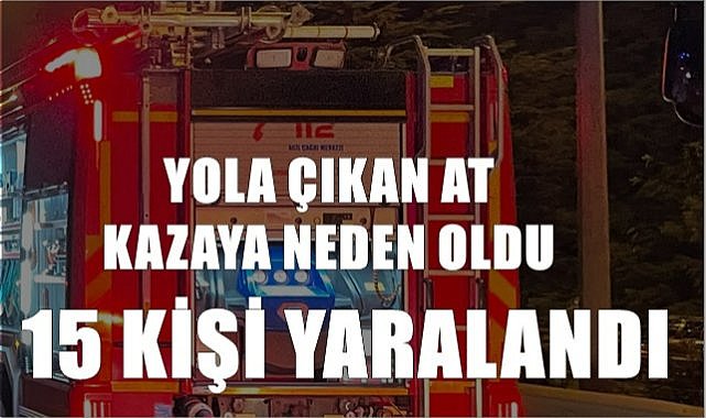Yola çıkan at kazaya neden oldu 15 kişi yaralandı