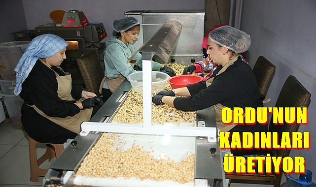 Diş Hekimliği Fakültesini bitirdi fındıkçı oldu