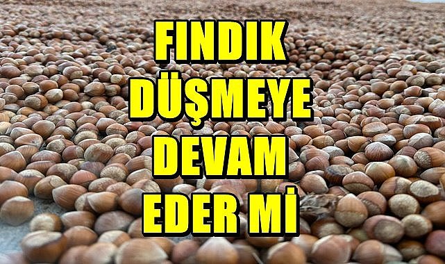 Fındık fiyatı (14.10.2023)