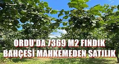 Ordu İkizce'de 7369 m2 fındık bahçesi satılık