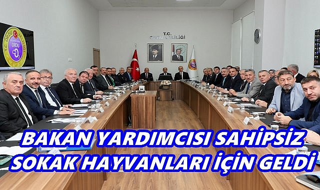 Bakan Yardımcısı Aktaş, Sahipsiz Sokak Hayvanları İçin Ordu'da