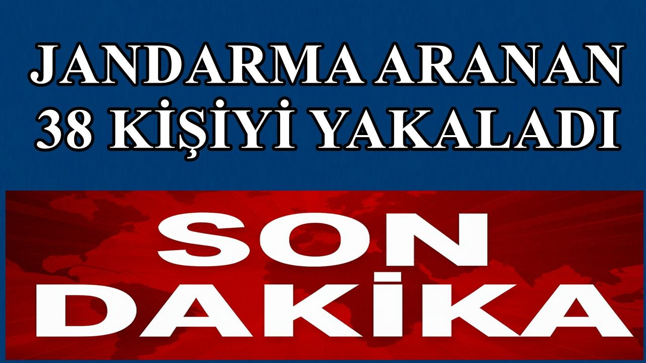 Ordu'da Jandarma Aranan 38 Kişiyi Yakaladı