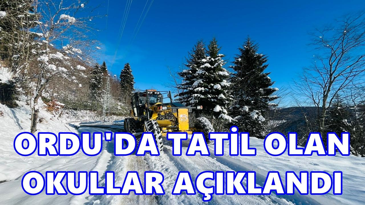 Ordu’da Eğitime Kar Tatil: İşte Tatil Olan Okullar