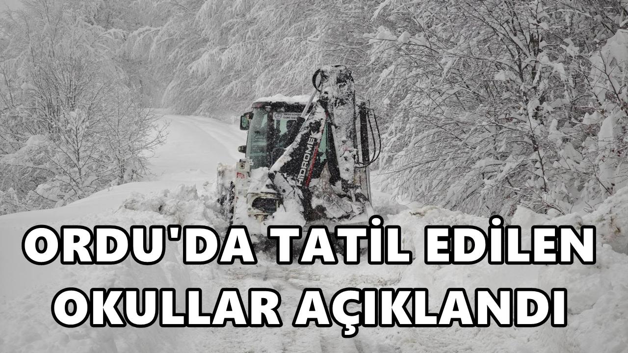 Ordu'da 14 Ocak Çarşamba Günü Tatil Edilen Okullar Açıklandı
