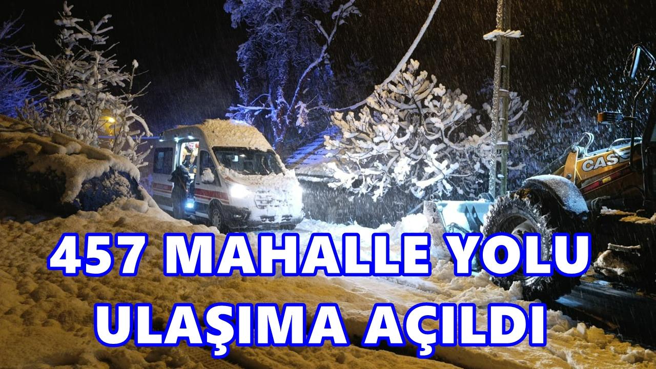 Ordu'da 457 Mahallenin Yolu Kardan Kapandı