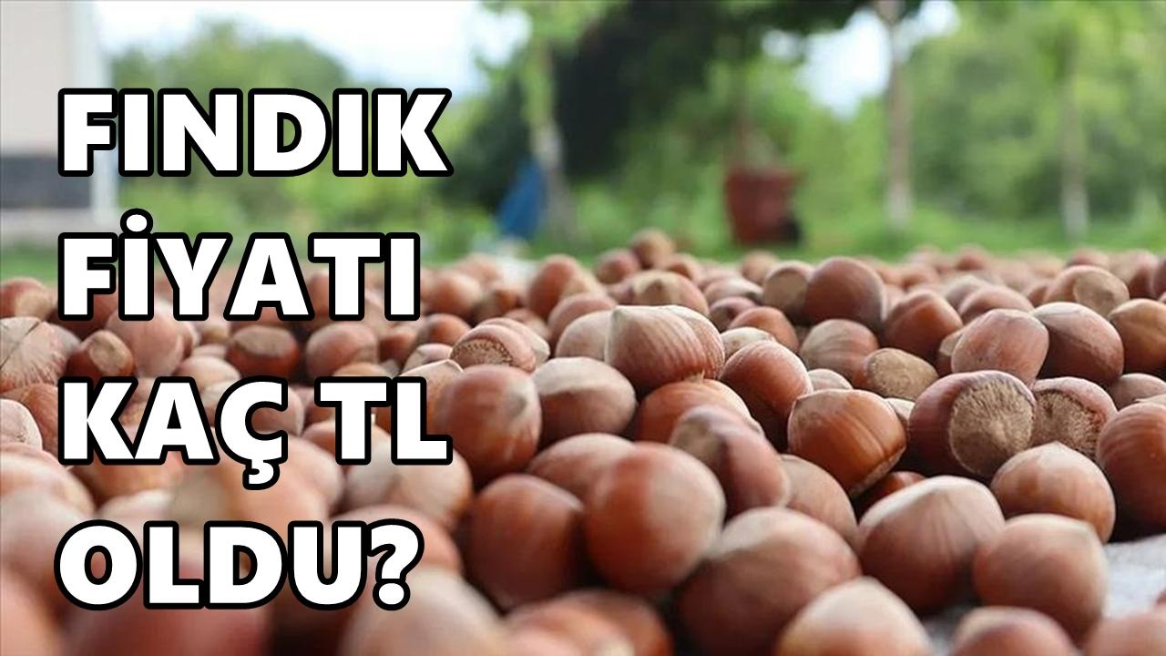 Otomatik Taslak