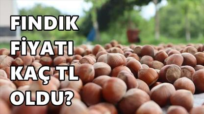 Bugün Fındık Fiyatı 17 Ocak 2026 Cumartesi