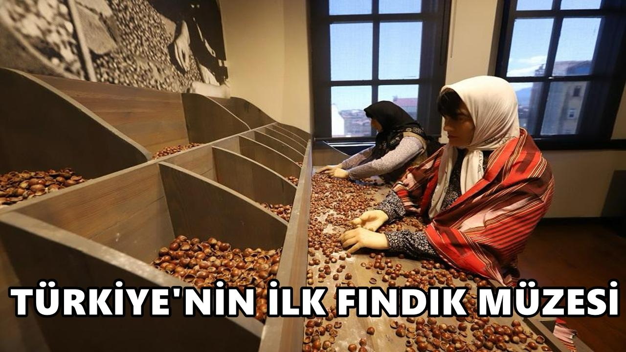 Türkiye’nin İlk Fındık Müzesi Ordu’nun Gözdesi Oldu