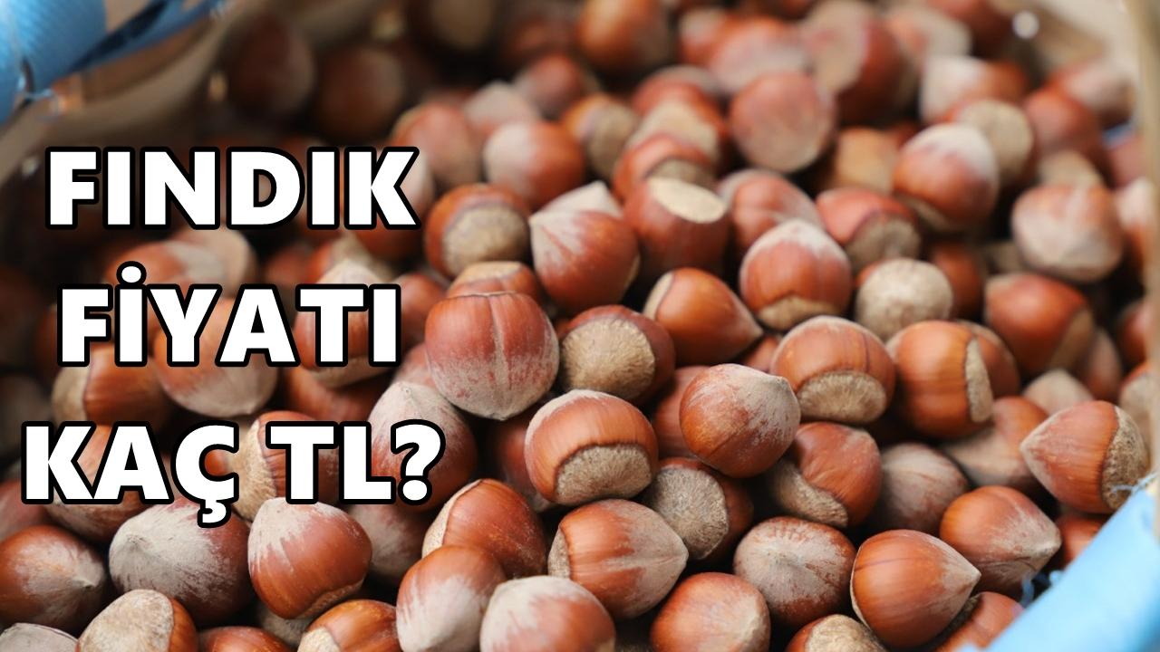 Fındık Fiyatı 19 Şubat 2026 Perşembe
