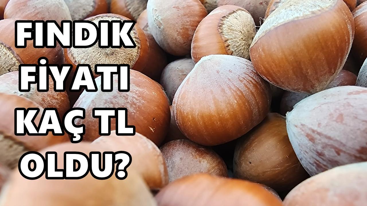 Fındık Fiyatı 9 Şubat 2026 Pazartesi