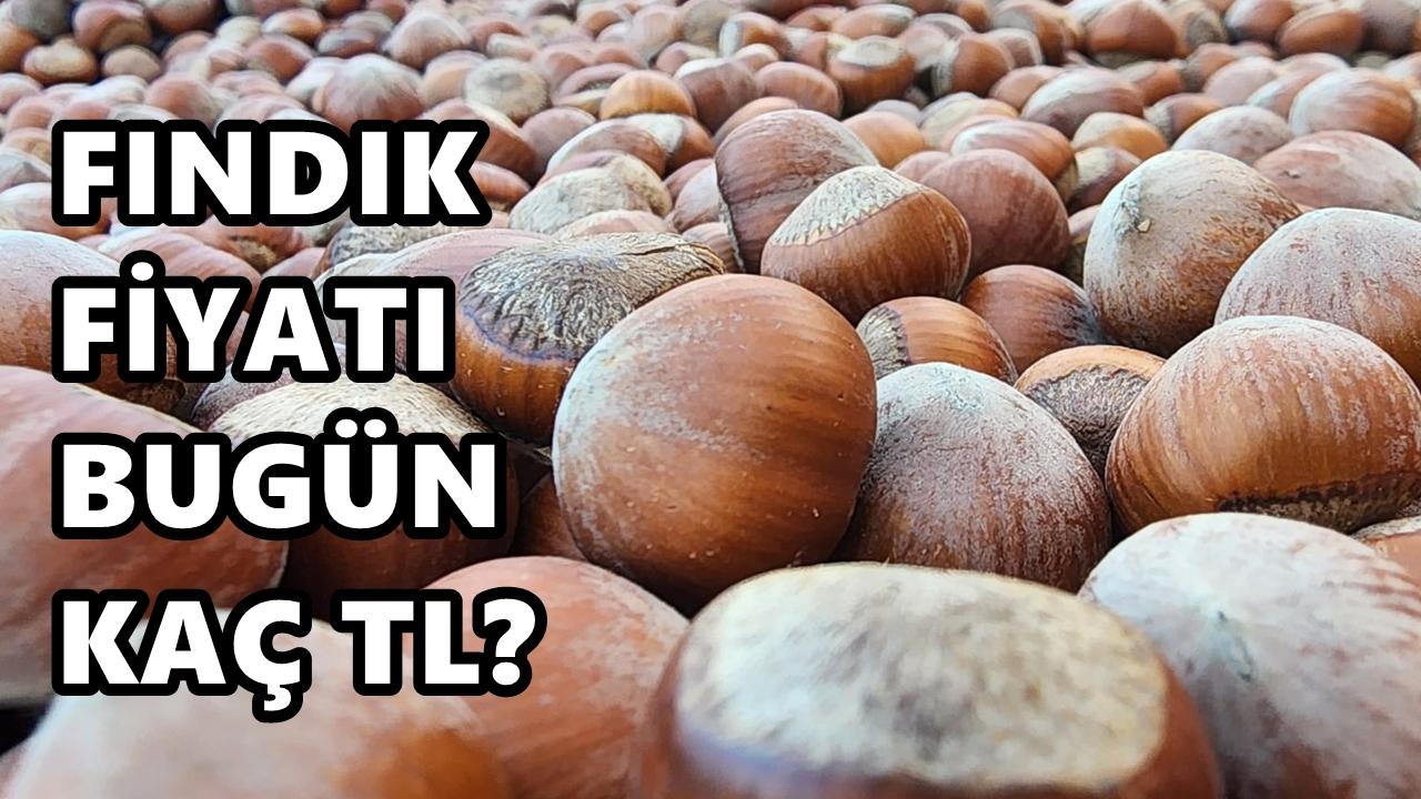 Fındık Fiyat 6 Mart 2026 Cuma