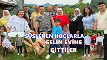 Fatsa'da Damat Adayları Gelin Evine Süslenen Koçlarla Gitti