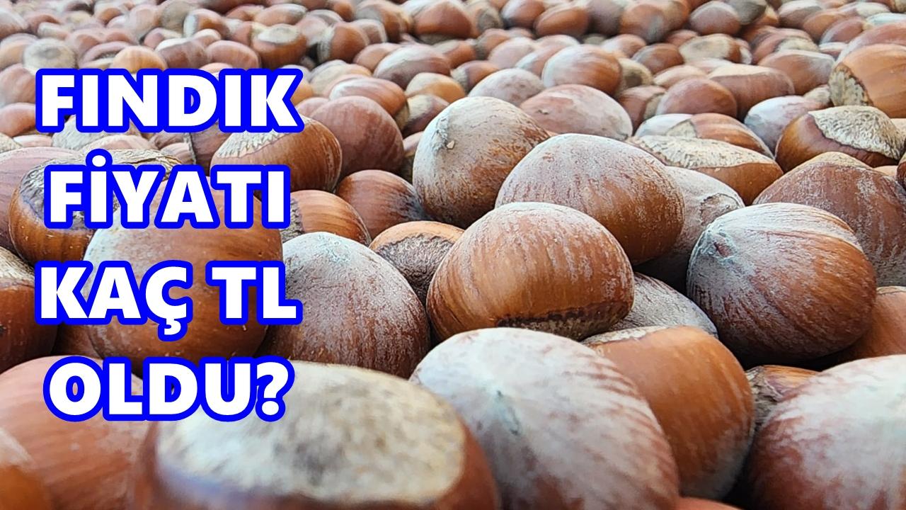Fındık Fiyatı 21 Mayıs 2026 Perşembe