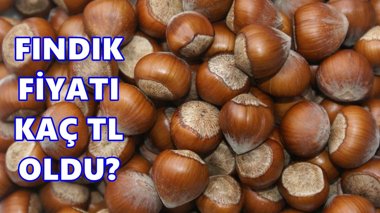Fındık Fiyatı 9 Mayıs 2026 Pazar