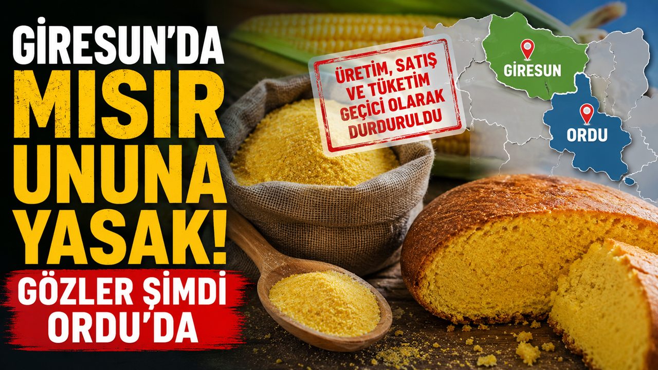 Giresun’da Mısır Ununa Yasak! Gözler Şimdi Ordu’da