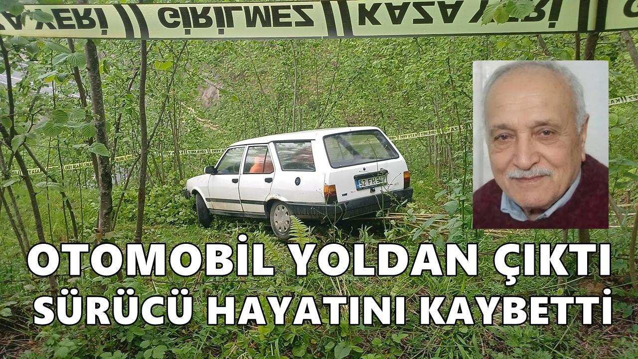 Kabadüz'de Kaza: Sürücü Hayatını Kaybetti