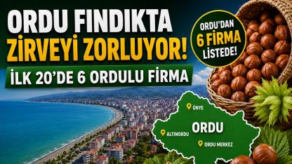 Ordu Fındıkta Zirveyi Zorluyor! İlk 20’de 6 Ordulu Firma
