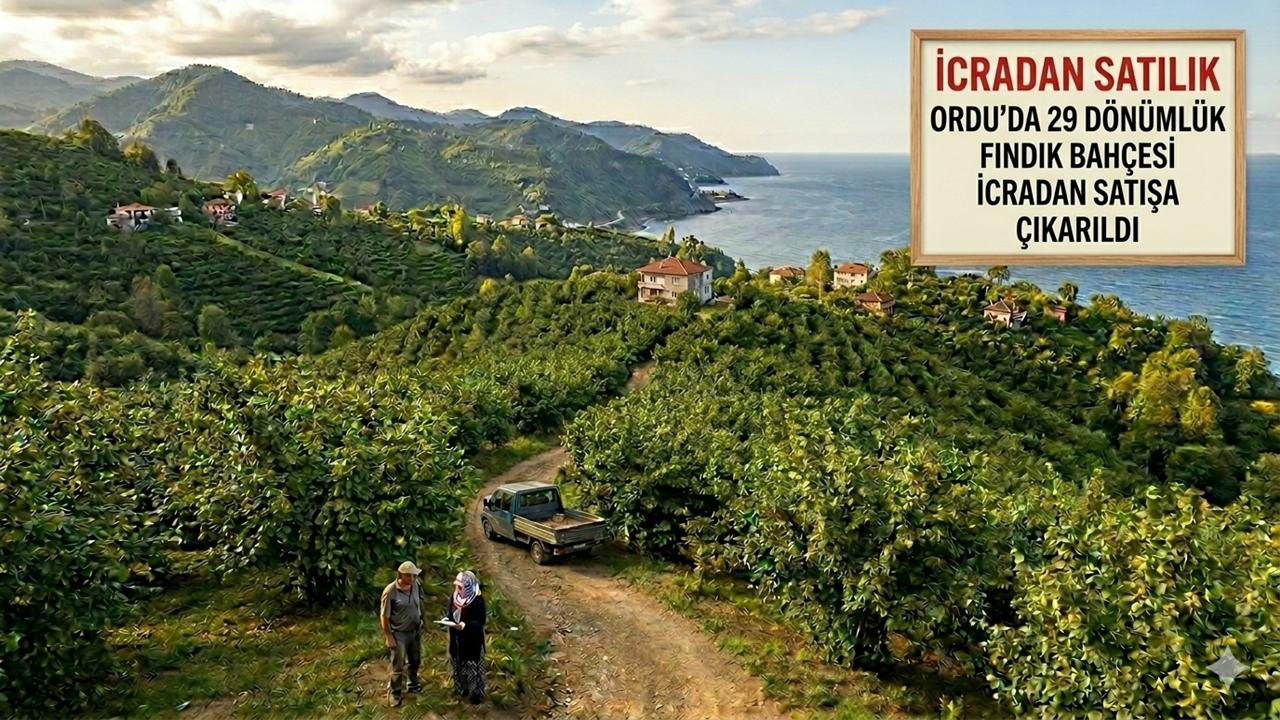 Ordu’da 29 Dönümlük Fındık Bahçesi İcradan Satışa Çıkarıldı