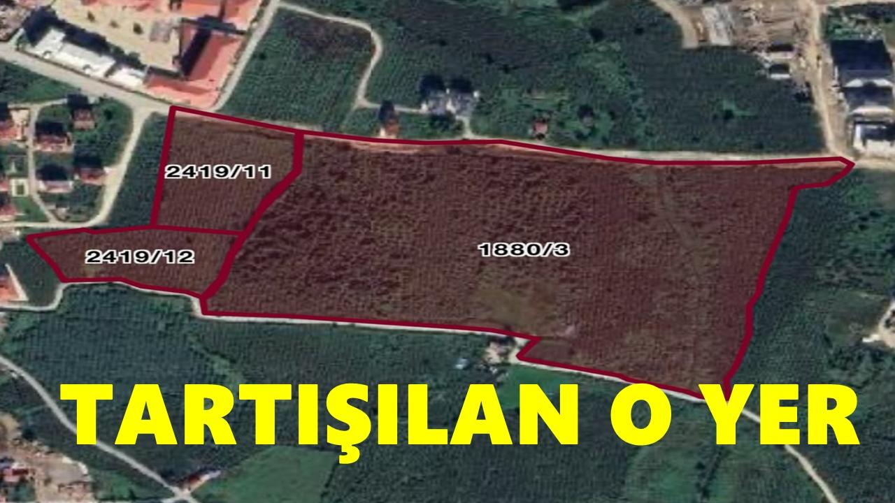 Altınordu’da Yeşil Alan Tartışması: 52 Dönümlük Arazinin İma