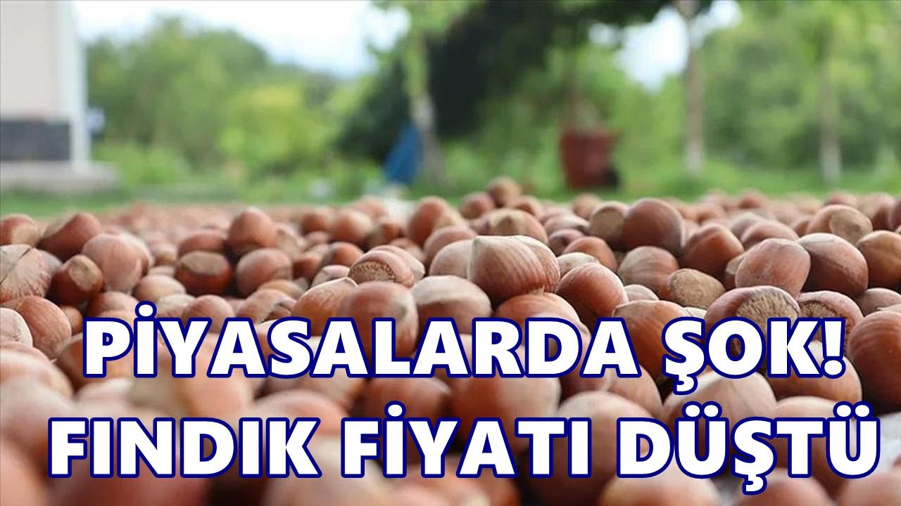 Fındık Fiyatı 16 Haziran 2026 Salı