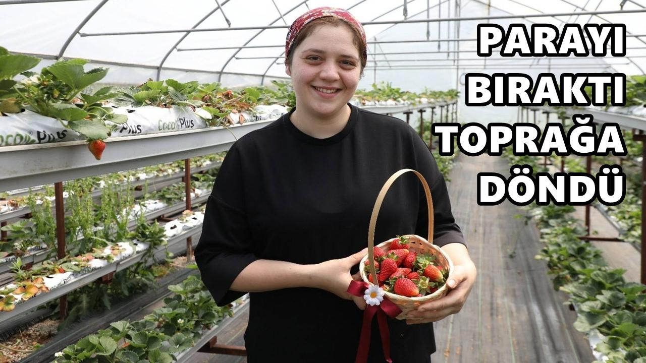 Merve Tutal Bankacılığı Bıraktı, Toprağa Döndü! Ordu’da 3 Serada Üretim Yapıyor