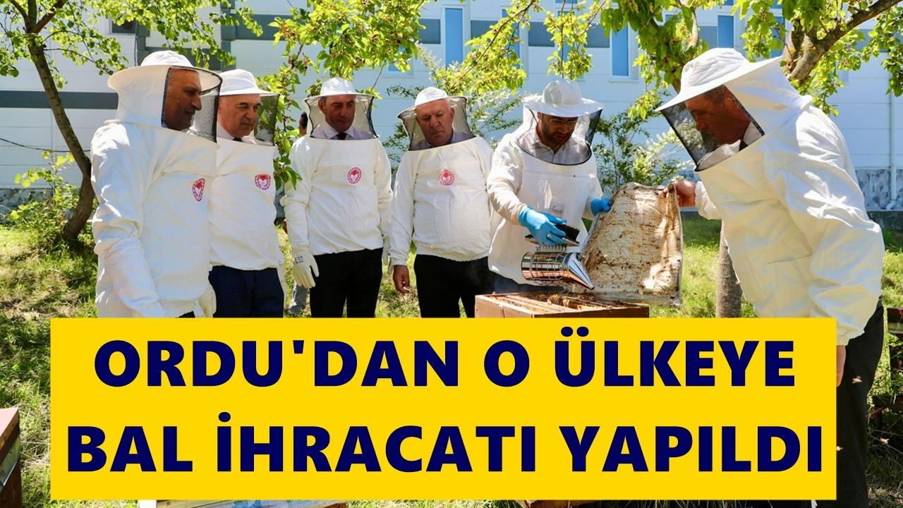 Ordu Balı İngiltere Yolunda: 17 Tonluk Yeni İhracat Gerçekleşti