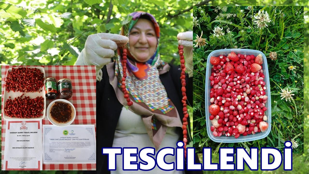 Ordu Dağ Çileği Reçeli Tescillendi! Coğrafi İşaretli Ürün Sayısı 24'e Yükseldi