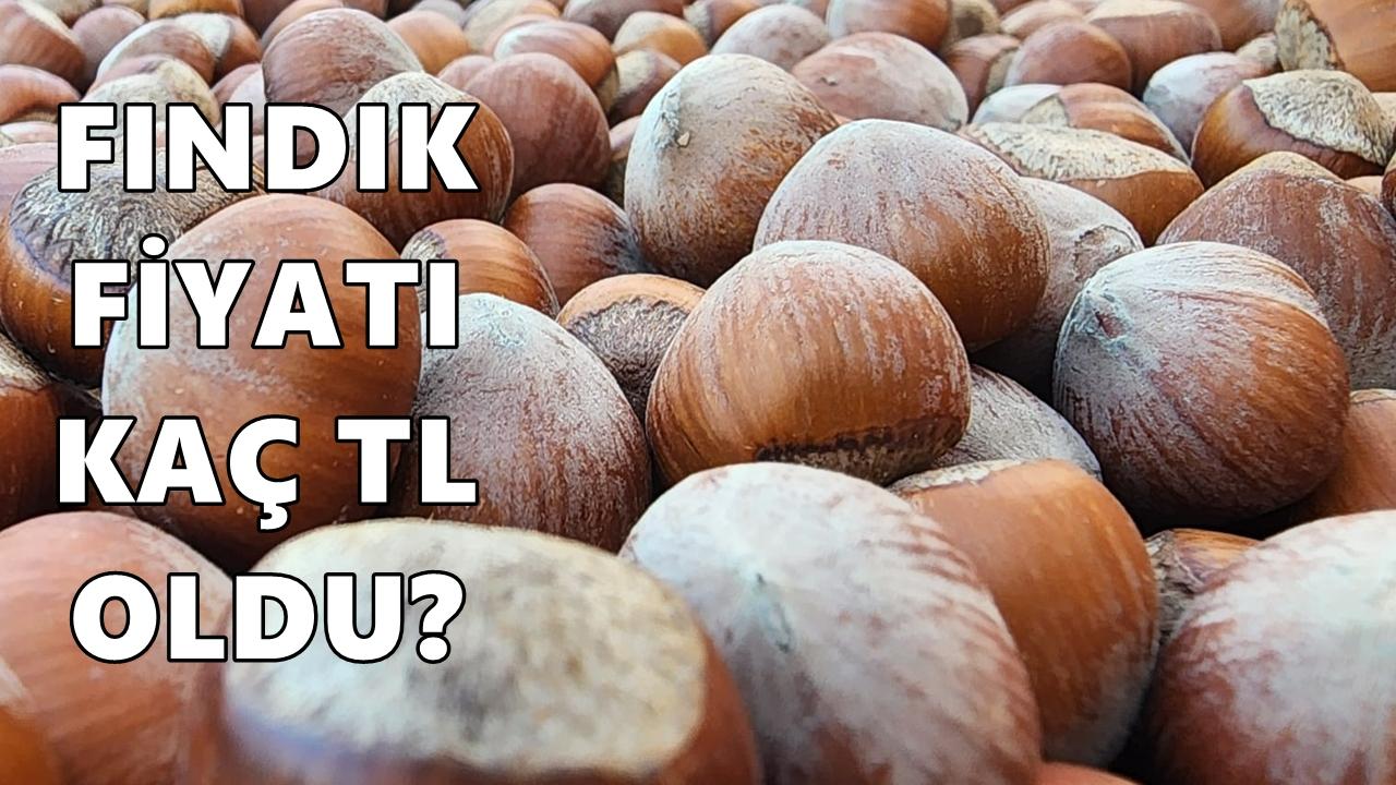 Fındık Fiyatı 2026 Cumartesi