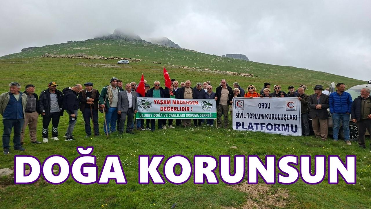 Soğanözü ve Araptamı Yaylalarında Maden Projesine Bilirkişi İncelemesi: “Doğa Korunsun” Çağrıs