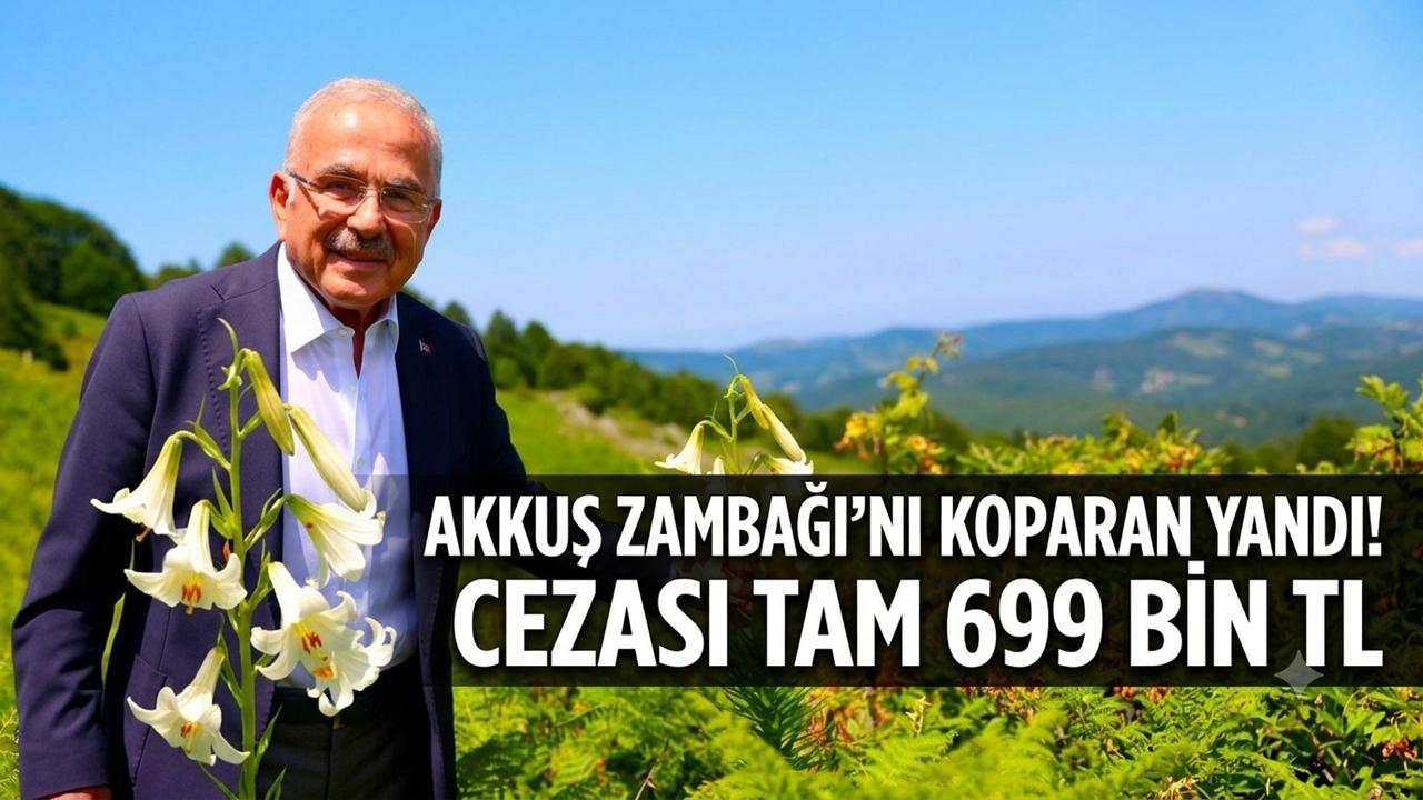 Akkuş Zambağı'nı Koparan Yandı! Cezası Tam 699 Bin TL