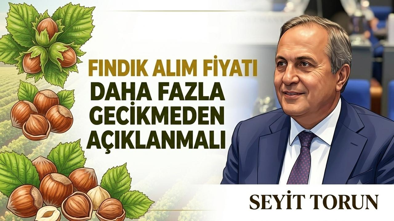 CHP'li Torun: Fındıkta Maliyet 200 Liranın Üzerinde