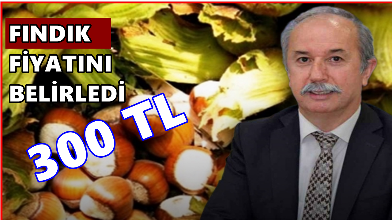 Fındık Fiyatı 300 TL; Ziraat Odası Başkanı Gürsu'dan Flaş Açıklama
