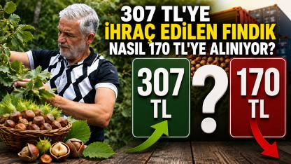 Fındıkta 170 TL Tepkisi:Fındıkta Soygun Düzeni Denetlenmeli