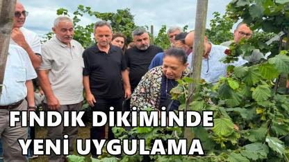 Fındıkta Yoğun Dikim İçin Yeni Terbiye Yöntemleri Masaya Yatırıldı