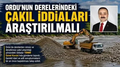 Naci Şanlıtürk: "Ordu'nun Derelerindeki Çakıl İddiaları Araştırılmalı"