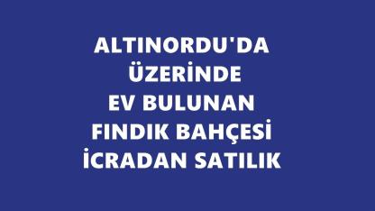 Ordu'da İcradan Satılık Fındık Bahçeleri ve Evler! Muhammen Bedel 5,4 Milyon TL'yi Aşıyor