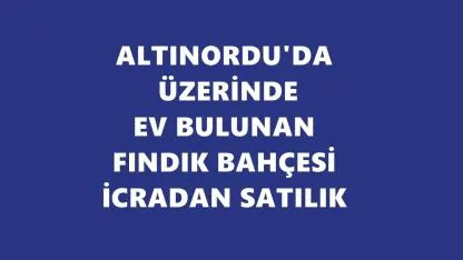 Ordu'da İcradan Satılık Fındık Bahçeleri ve Evler! Muhammen Bedel 5,4 Milyon TL'yi Aşıyor